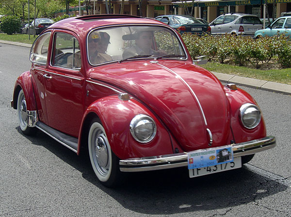 Coccinelle